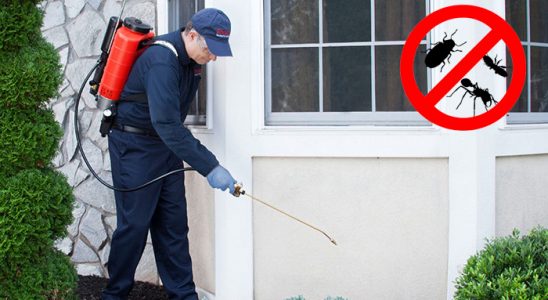 Büyükçekmece Tahtakurusu İlaçlama böcek ilaçlama ve haşere kontrolü — ilaclama-tr.com